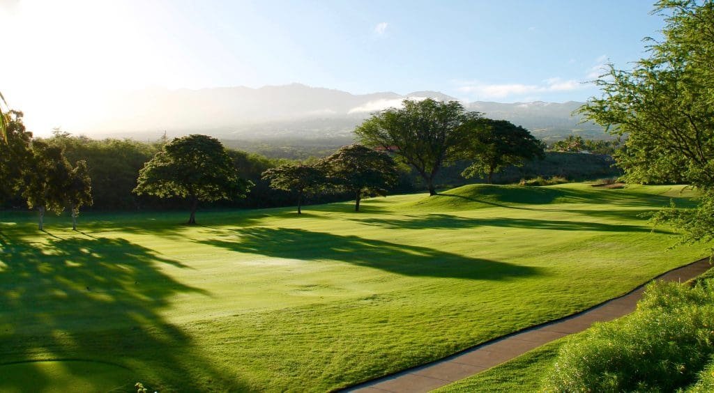 Where To Stay For Golf Lovers: Hotels Near Los Angeles Country Club
